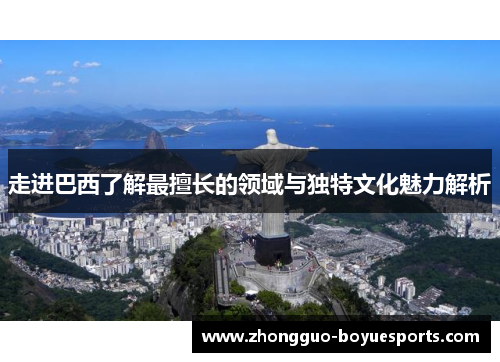 走进巴西了解最擅长的领域与独特文化魅力解析