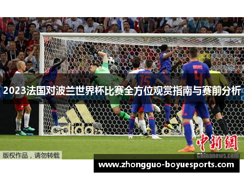 2023法国对波兰世界杯比赛全方位观赏指南与赛前分析