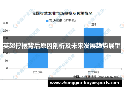 英超停摆背后原因剖析及未来发展趋势展望 英超停摆背后原因剖析及未来发展趋势展望