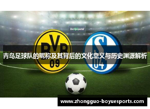 青岛足球队的昵称及其背后的文化意义与历史渊源解析 青岛足球队的昵称及其背后的文化意义与历史渊源解析