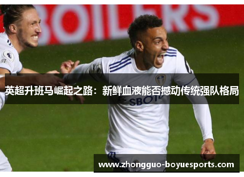 英超升班马崛起之路：新鲜血液能否撼动传统强队格局
