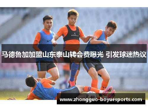 马德鲁加加盟山东泰山转会费曝光 引发球迷热议