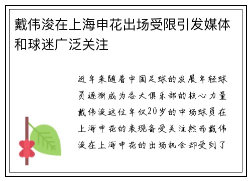戴伟浚在上海申花出场受限引发媒体和球迷广泛关注